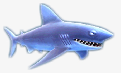 Hungry Shark Wiki - Hungry Shark Evolution, HD Png Download, Transparent PNG