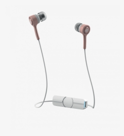 Ifrogz Coda Wireless Earbuds , Png Download - Ifrogz Rose Gold, Transparent Png, Transparent PNG