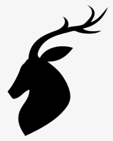 Deer, HD Png Download, Transparent PNG