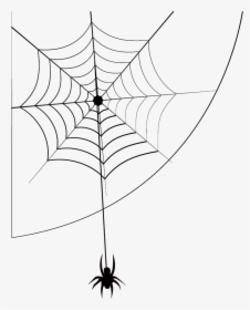 Spider Web Cartoon Png, Transparent Png, Transparent PNG