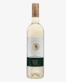 Campos De Luz - Chambered Nautilus, HD Png Download, Transparent PNG