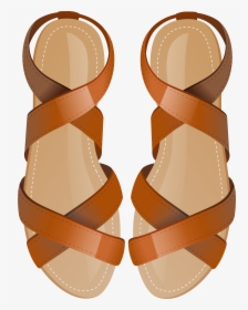 New Leather Fashionable Sandals On A Wedge Fashion Style Stock Photo -  Download Image Now - iStock
