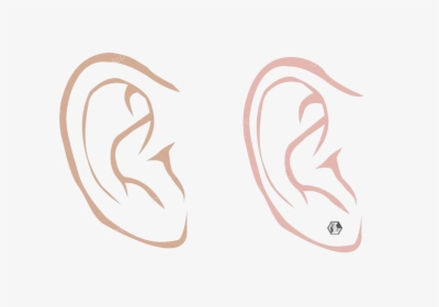 Ear Male And Female With Diamond Earring In Outline - Ears Sketch Male, HD Png Download, Transparent PNG