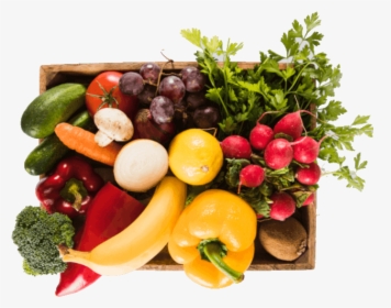 Transparent Frutas Y Verduras Png - Alimentacion Saludable, Png Download, Transparent PNG