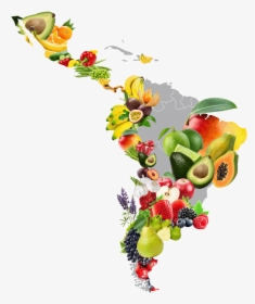 Mapa De Honduras Con Frutas, HD Png Download, Transparent PNG