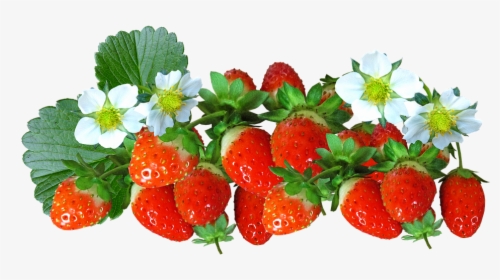 Strawberries, Fruit, Food, Flowers, Summer, Natural - Fruit And Flower Transparent, HD Png Download, Transparent PNG