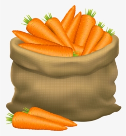 Fruit Clipart Food Item - Bag Of Carrots Clipart, HD Png Download, Transparent PNG