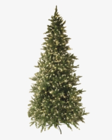 Christmas Tree W Led Vancouver - Pre Lit Christmas Tree, HD Png Download, Transparent PNG