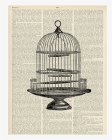 Round Pepin Design - Vintage Bird Cage Art, HD Png Download, Transparent PNG