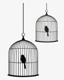 Birdcage Stencil Drawing - Bird And Cage Drawing, HD Png Download, Transparent PNG
