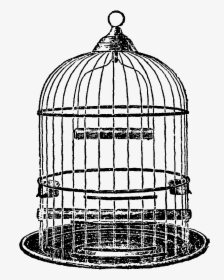 Vintage Bird Cage Illustration, HD Png Download, Transparent PNG