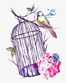 Bird, Colorful, And Flowers Image - Bird Cage Drawing, HD Png Download, Transparent PNG