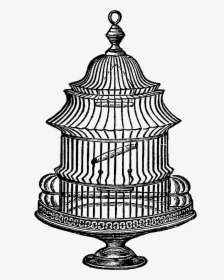 Antique Bird Cage Drawing - Vintage Bird Cage Illustration Free, HD Png Download, Transparent PNG