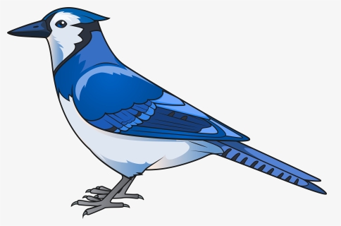 Bird Png Clip - Clipart Blue Jay Png, Transparent Png, Transparent PNG