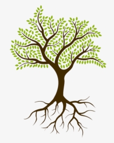 Culture Spark Was Started In 2015 By Sheryl Lyons, - Tree With Roots No Background, HD Png Download, Transparent PNG
