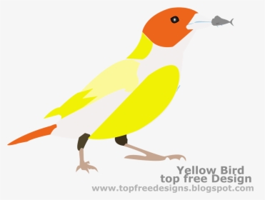 Bird Clipart - Finch, HD Png Download, Transparent PNG