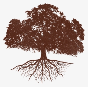 Exclusive News & Offers - Oak Tree Silhouette With Roots, HD Png Download, Transparent PNG