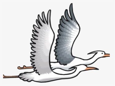 Sea Bird Clipart Transparent - Dibujos De Garzas Volando, HD Png Download, Transparent PNG