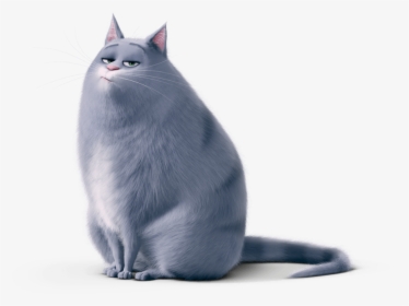 Grey Cat Secret Life Of Pets, HD Png Download, Transparent PNG