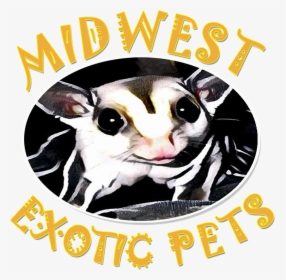 Clip Art Royalty Free Welcome To Midwest Pets - Poster, HD Png Download, Transparent PNG