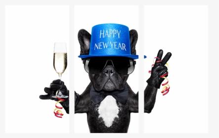 Happy New Year Dog, HD Png Download, Transparent PNG