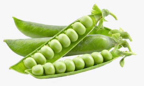Pea Png - Foods Have Vitamin B1, Transparent Png, Transparent PNG