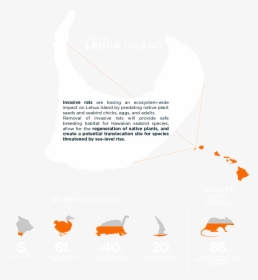 Lehua Island Hawaii Project Infographic - Hawaiian Islands, HD Png Download, Transparent PNG