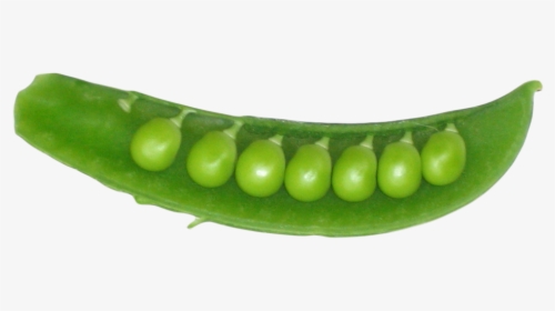 Peas In A Pod Png Image1 - Peas In A Pod Png, Transparent Png, Transparent PNG