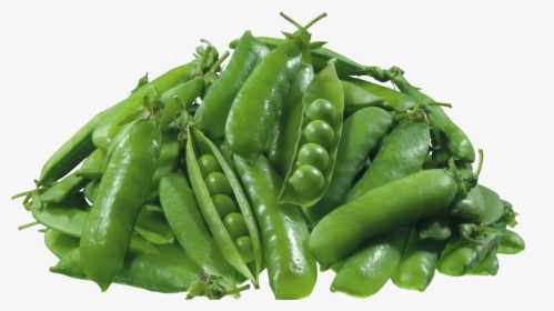 Pea Free Png - Transparent Green Peas Png, Png Download, Transparent PNG
