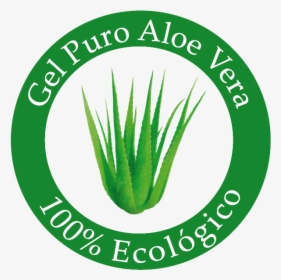 Aloe Vera Gel Logo, HD Png Download, Transparent PNG