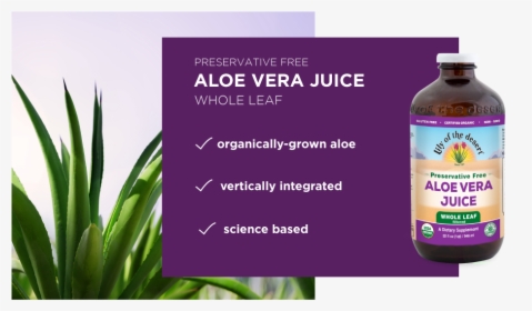 Aloe Vera Juice Whole Leaf - Aloe Vera, HD Png Download, Transparent PNG