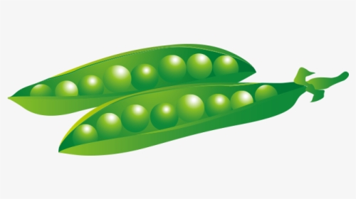 The Princess And Vegetable - Pea, HD Png Download, Transparent PNG