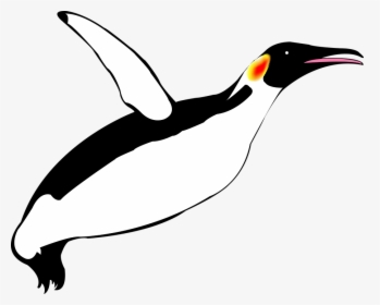 Pinguim Voador, Pinguim, Pinguins - Penguin Flying Clip Art, HD Png Download, Transparent PNG