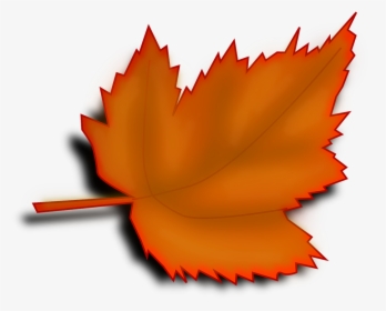 Tree Leaf Clipart, HD Png Download, Transparent PNG