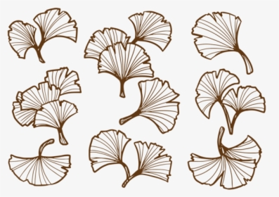 Drawing Ginkgo Leaf Print, HD Png Download, Transparent PNG