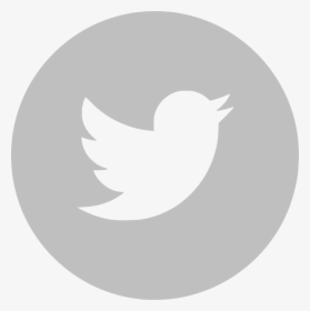 Twitter Logo White Vector - Black Twitter Logo Transparent Background, HD Png Download, Transparent PNG