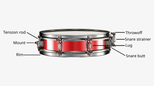 Snare Drum Diagram - Snare Drum, HD Png Download, Transparent PNG