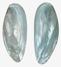 Fwp Spearhead Clam Pair 5 Up Dyed Blue - Gemstone, HD Png Download, Transparent PNG