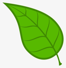 Leaf Vector - Clipart Library - Clipart Leaf, HD Png Download, Transparent PNG