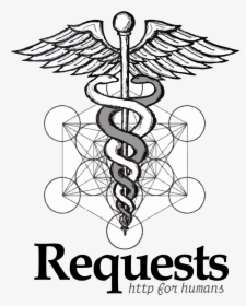 Requests Python Logo, HD Png Download, Transparent PNG