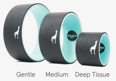 Transparent Plexus Logo Png - Yoga Wheel Sizes, Png Download, Transparent PNG