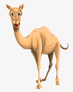 Camel Png, Transparent Png, Transparent PNG