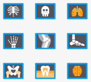 X Ray - Radiology Icons, HD Png Download, Transparent PNG