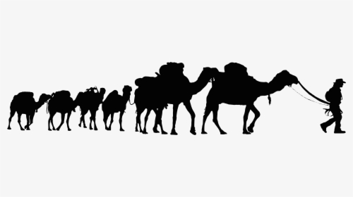 Clipart Transparent Background Camels, HD Png Download, Transparent PNG