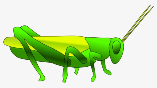 Grass, Hopper, Green, Insect, Grasshopper, Jump - Grasshopper Clip Art, HD Png Download, Transparent PNG