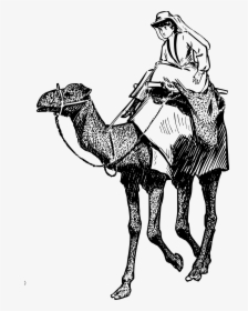 Woman On A Camel Clip Arts - Woman And Camel Png, Transparent Png, Transparent PNG