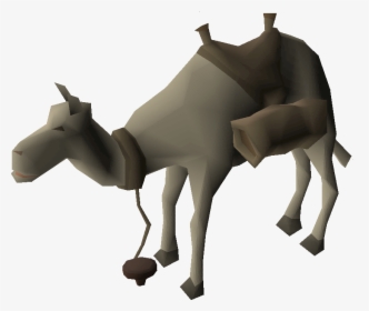 Camel, HD Png Download, Transparent PNG