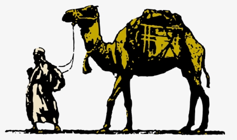 Livestock,pack Animal,camel - وافق شن طبقة شرح, HD Png Download, Transparent PNG