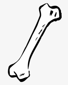 Human Bone Clipart Black And White, HD Png Download, Transparent PNG