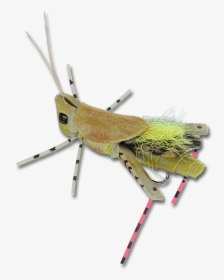 Head Turner Hopper - Grasshopper, HD Png Download, Transparent PNG